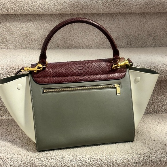Celine Trio Color Python Trapeze - Picture 9 of 13